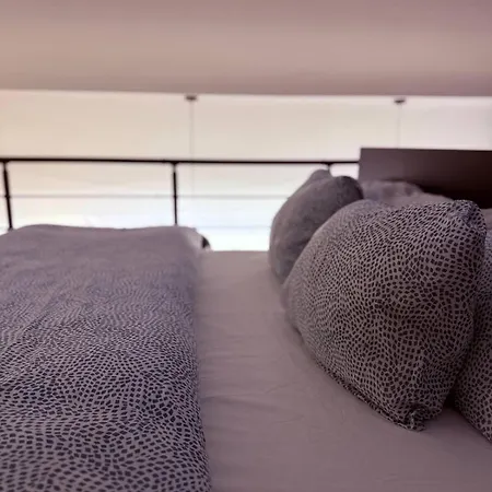 Elegance And Sweetness Of Life In Lutych